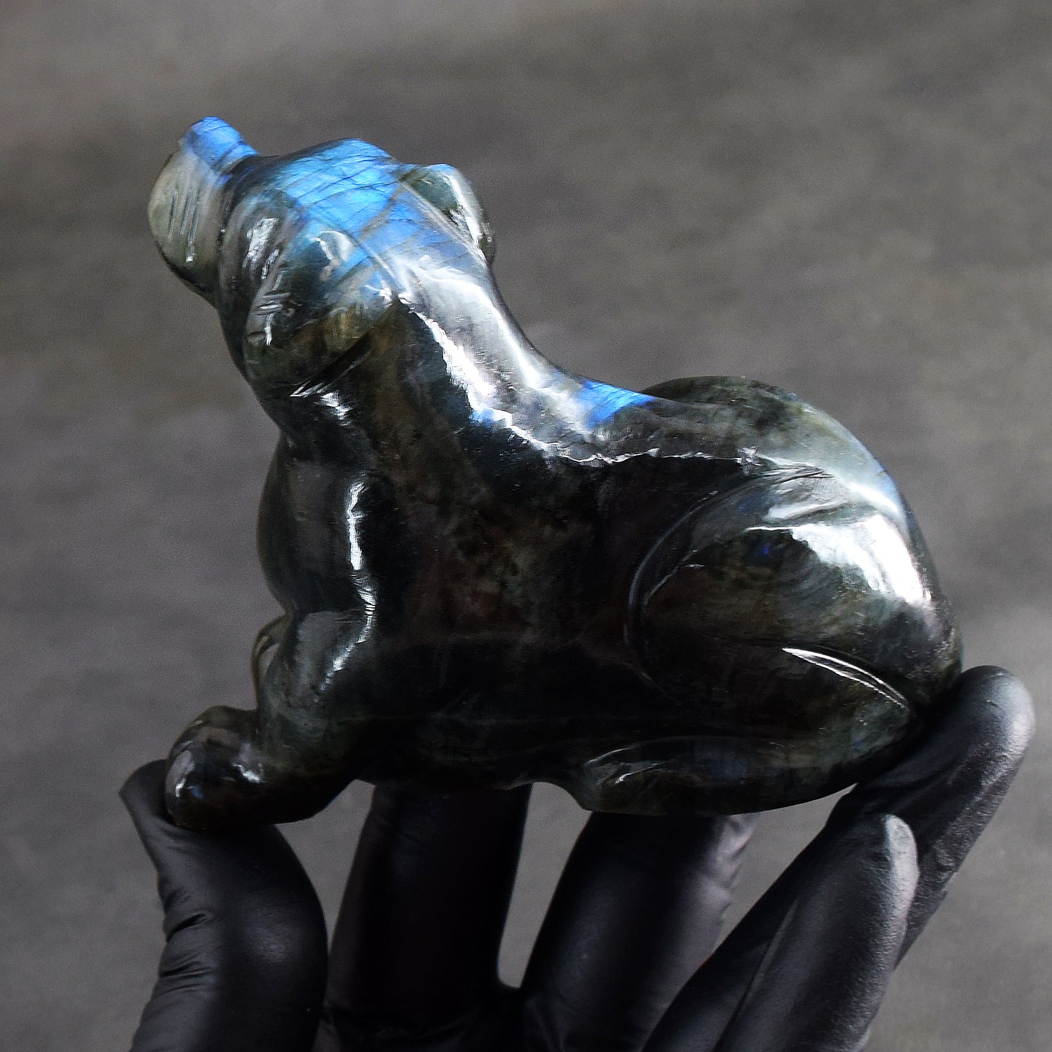 Elegant 1496.00 Cts Genuine Blue Flash Labradorite Hand Carved Gemstone Dog