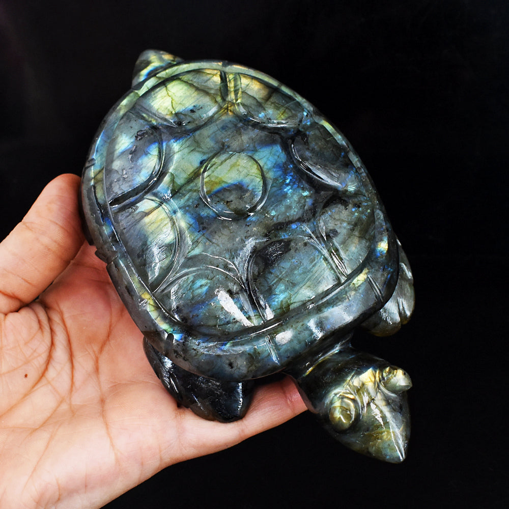 Exclusive 3122.00 Cts  Genuine Golden &  Blue Flash Labradorite Hand Carved  Crystal  Gemstone Turtle Carving