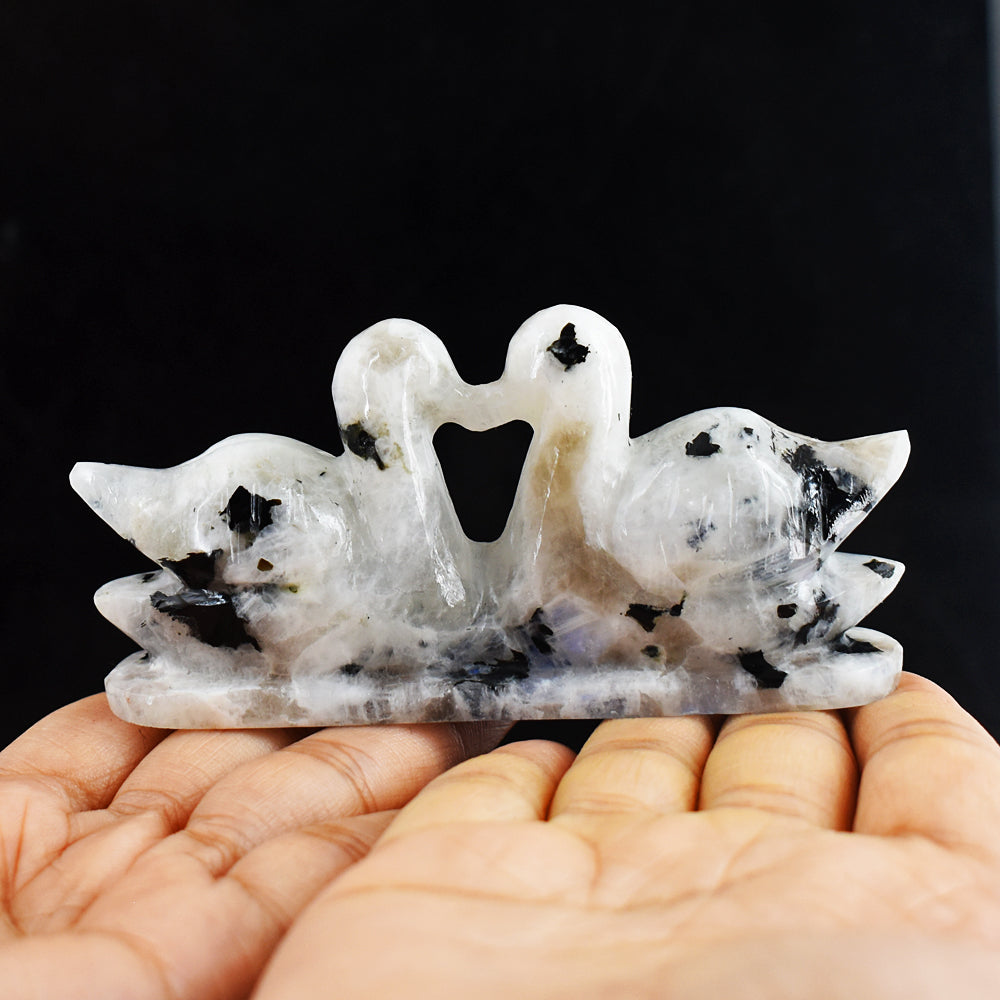 Awesome 593.00 Cts  Blue Flash Moonstone Hand Carved Crystal Swan Pair Gemstone Carving