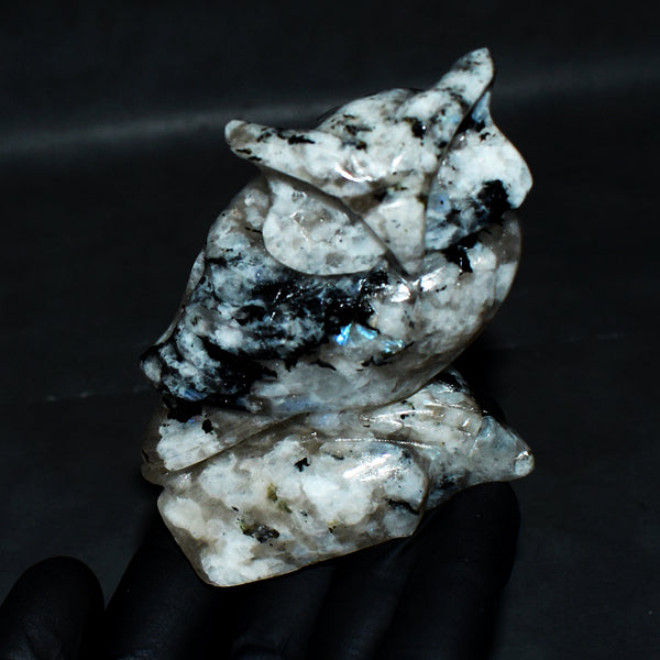 Awesome 1145.00 Cts Genuine Blue Flash Moonstone Owl Hand Carved Genuine Crystal Gemstone Owl Carving