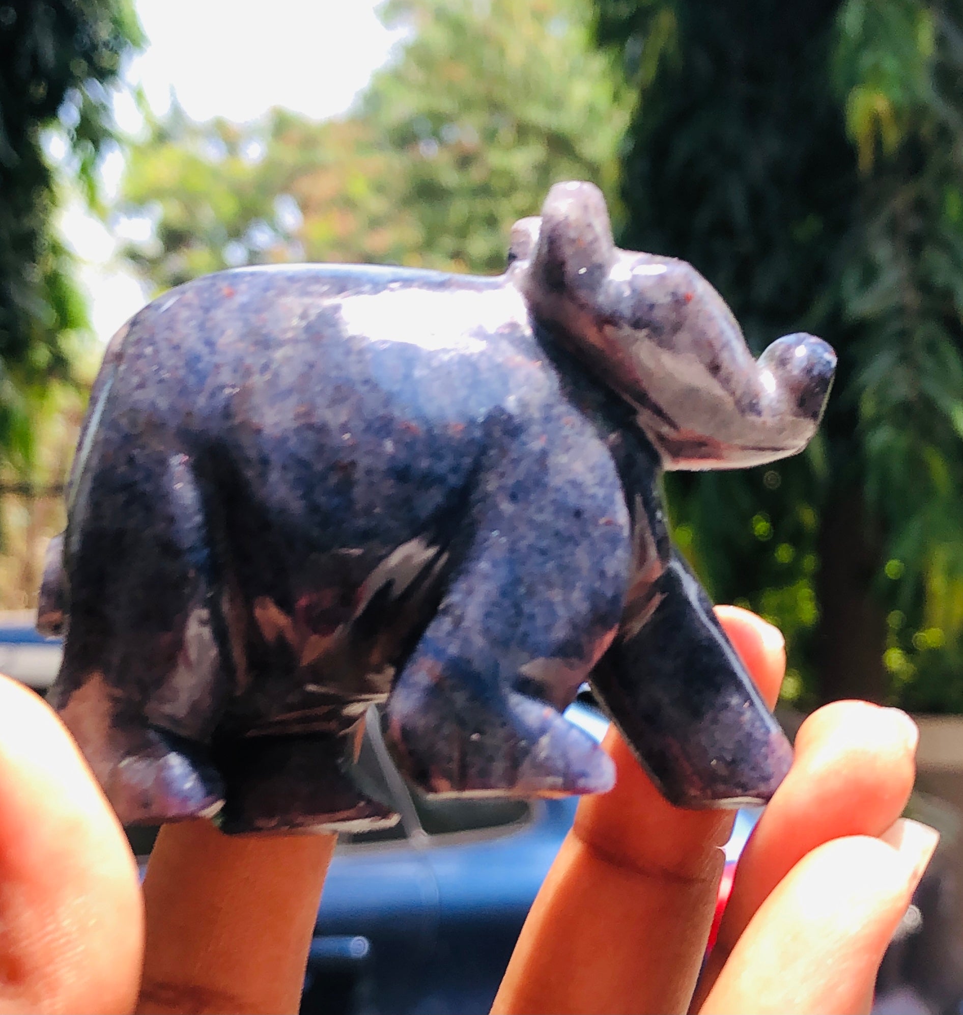 Manever 664.00 Carats Genuine Iolite Hand Carved Crystal Gemstone Pig Carving  2026  Collection