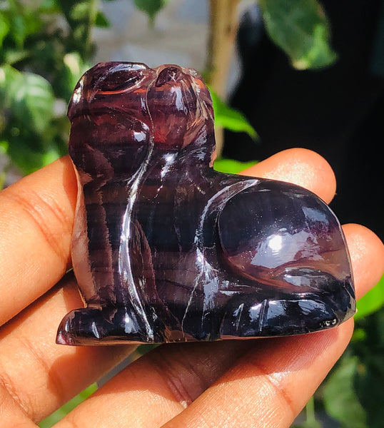 Artisian 552.00 Cts Genuine Multicolor Fluorite Carved Premium Cat Crystal 2026  Collection