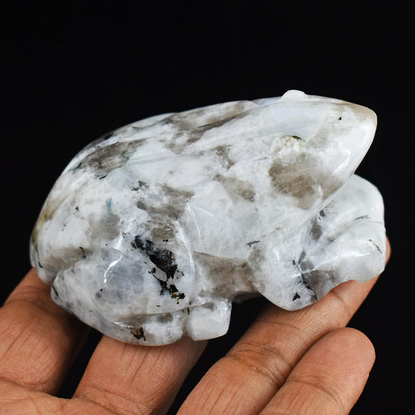 Amazing 804.00 Cts Genuine Blue Flash Moonstone Hand Carved Gemstone Frog Crystal Carving