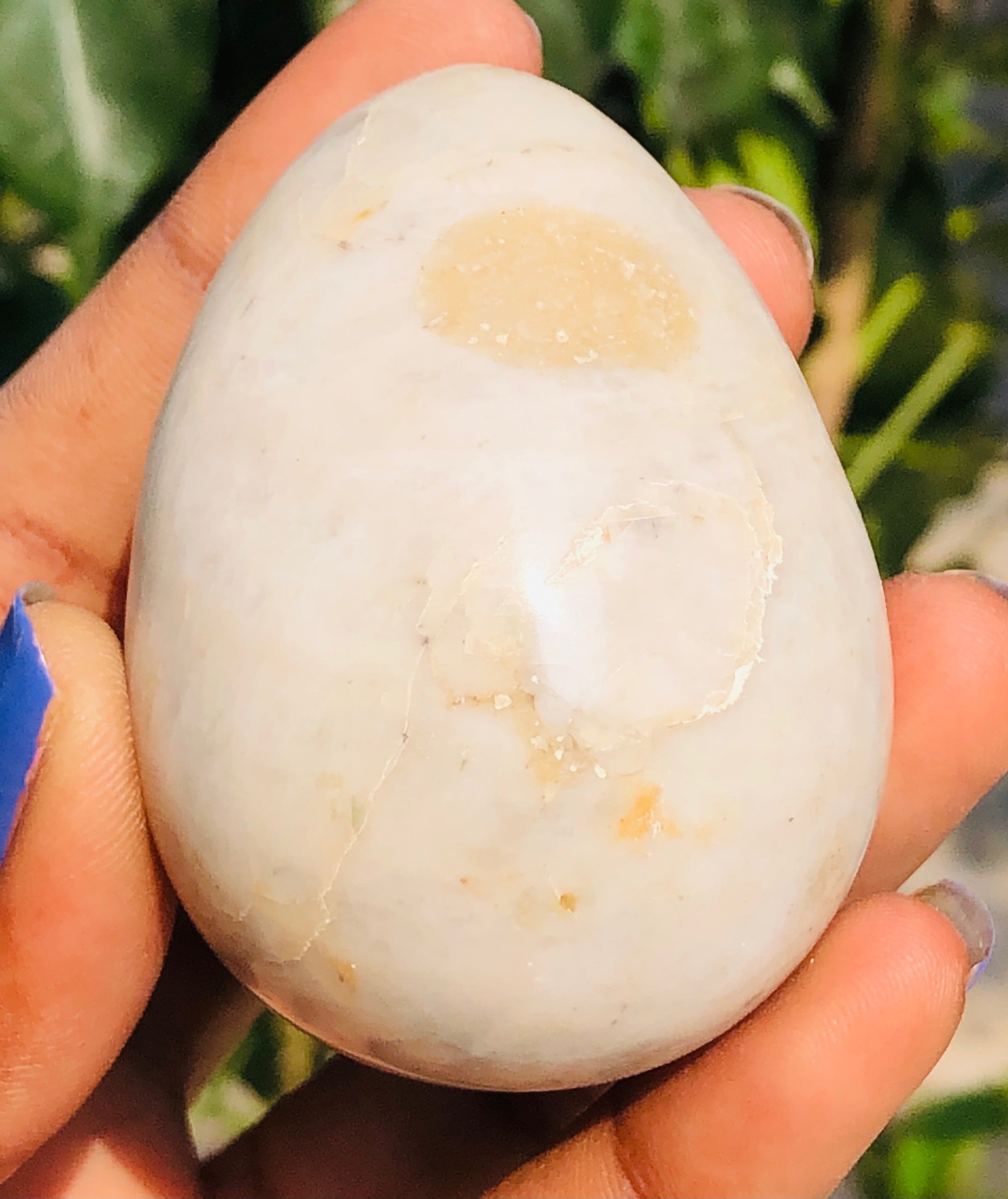Stunning 654.00 Cts Genuine White Agate Crystal Healing Premium Egg Crystal