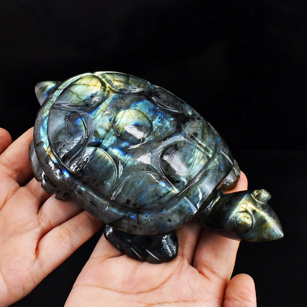 Exclusive 3122.00 Cts  Genuine Golden &  Blue Flash Labradorite Hand Carved  Crystal  Gemstone Turtle Carving