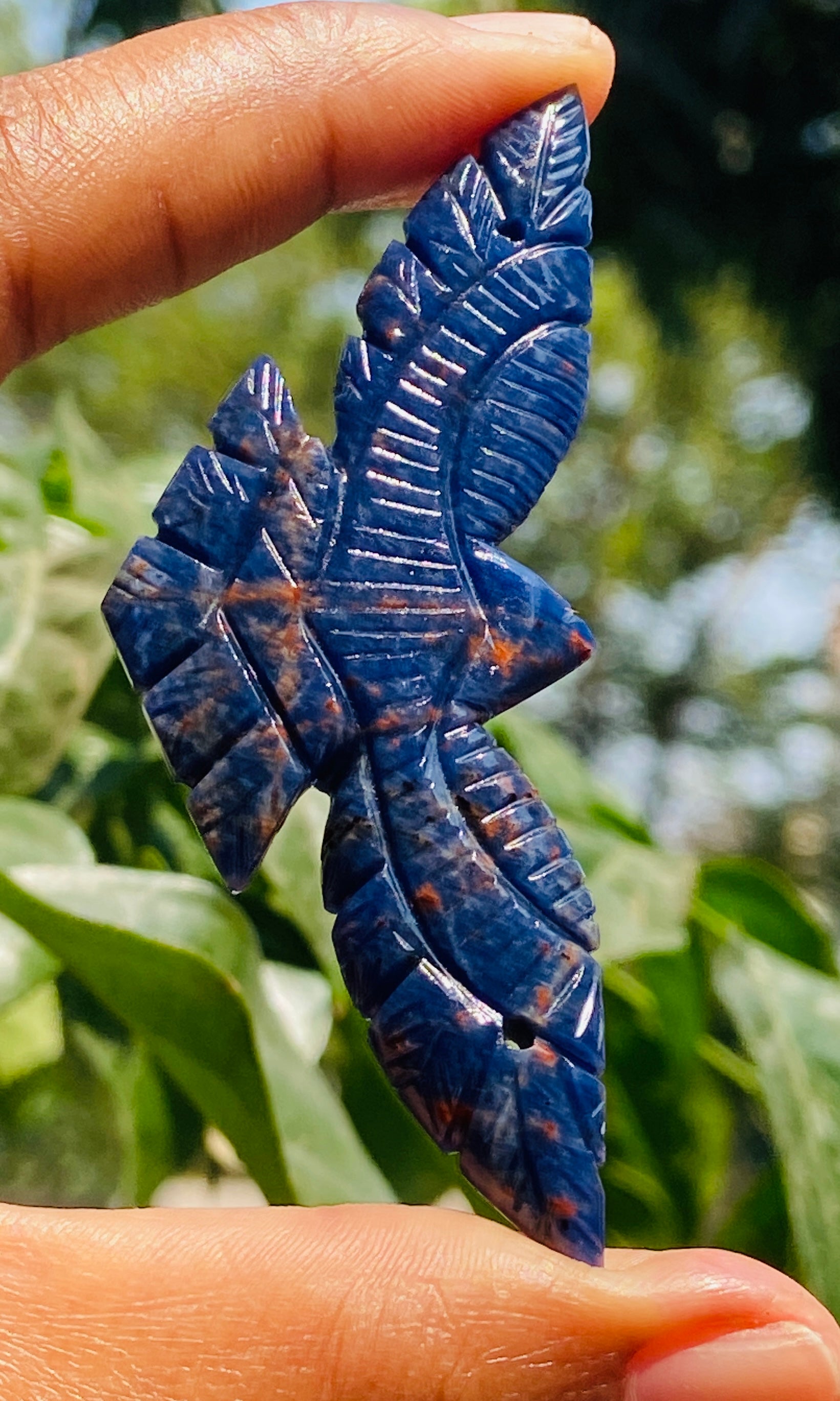 Untreated 52.00 Cts Genuine Blue Sodalite Hand Carved Premium Eagle Crystal