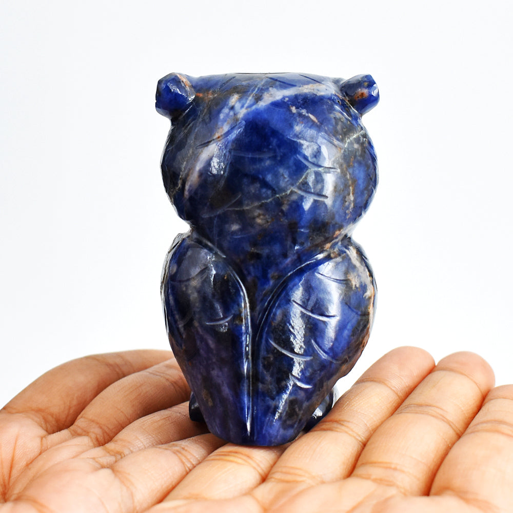 Amazing 768.00 Cts Genuine Blue Sodalite Hand Carved Crystal Gemstone Owl Carving
