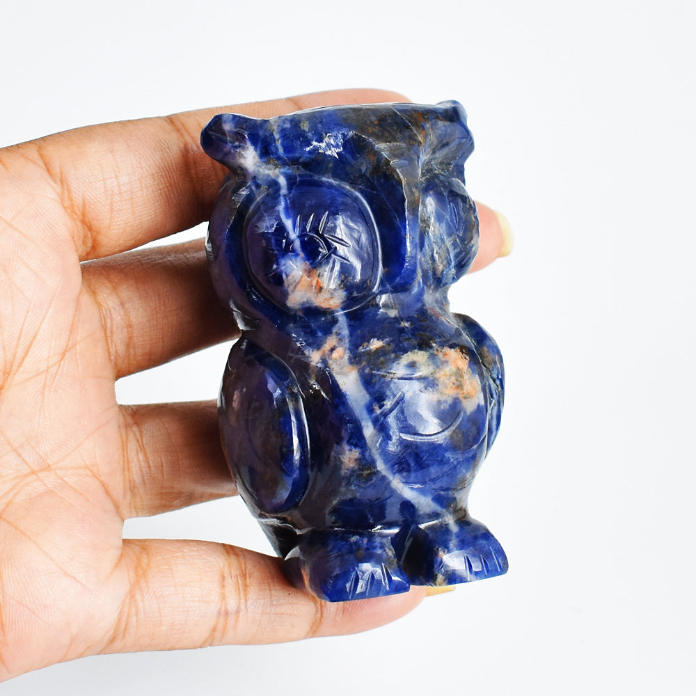 Amazing 768.00 Cts Genuine Blue Sodalite Hand Carved Crystal Gemstone Owl Carving