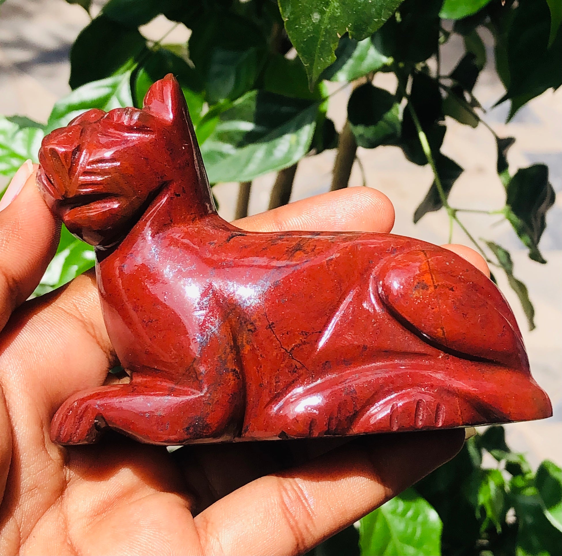 Gorgeous 1200.00 Cts Genuine Red Jasper Hand Carved Gemstone Premium Crystal Cat 2026 Collection