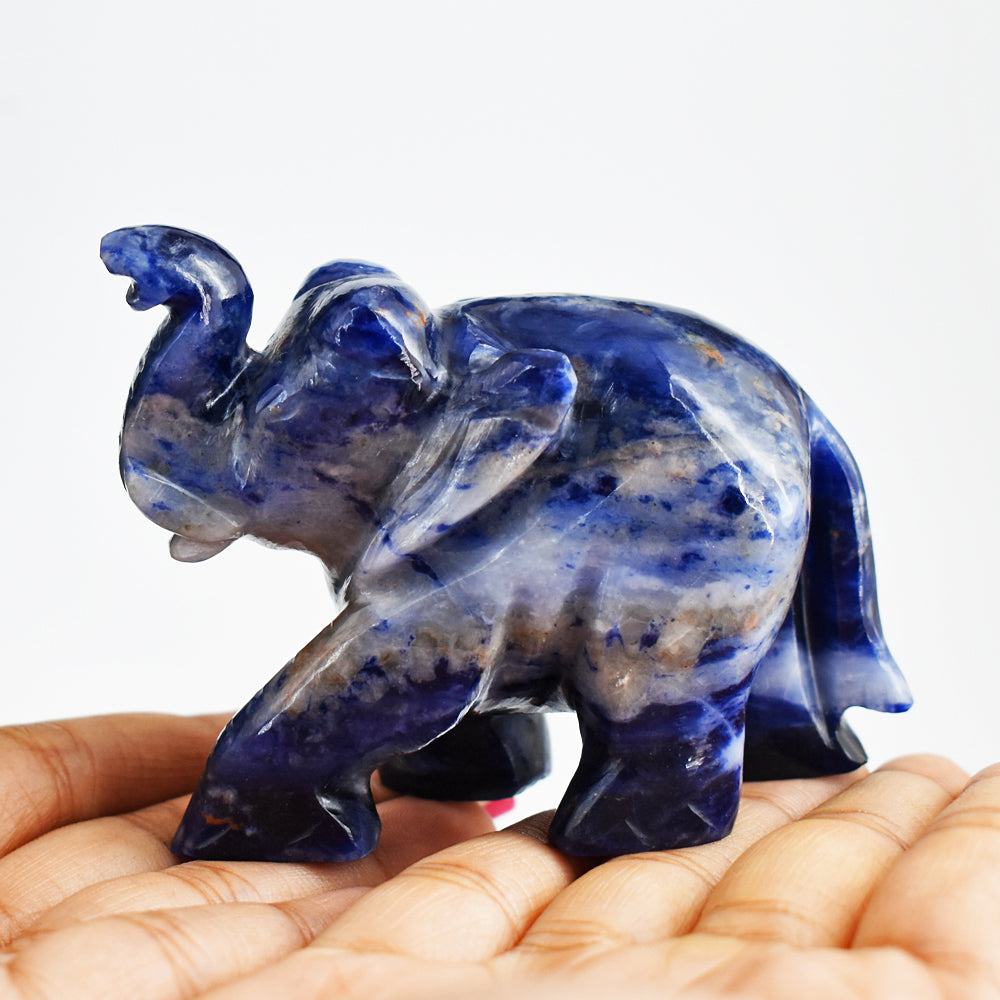 Beautiful  803.00 Cts  Blue Sodalite  Hand Carved Genuine Crystal Gemstone Carving Elephant