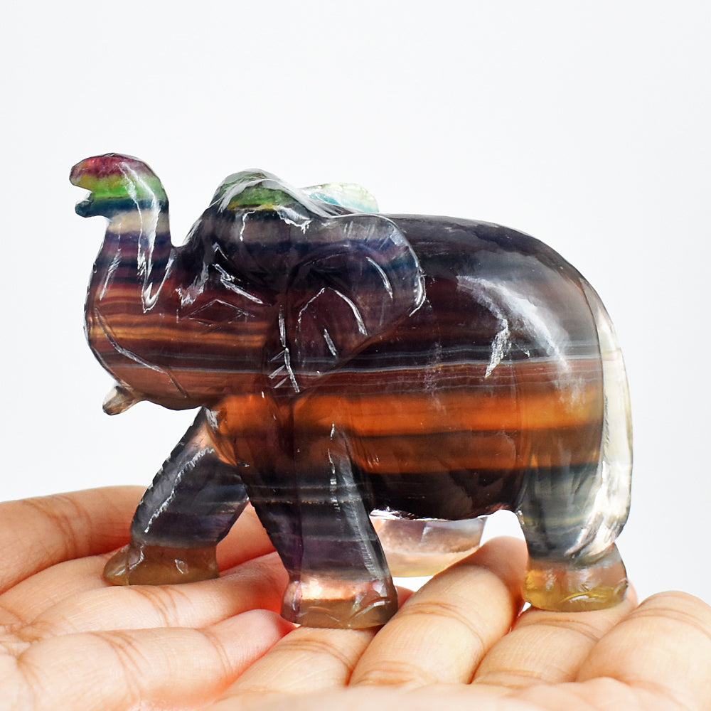 Beautiful 1061.00 Cts Genuine  Multicolor Fluorite Hand Carved Crystal Gemstone Elephant Carving