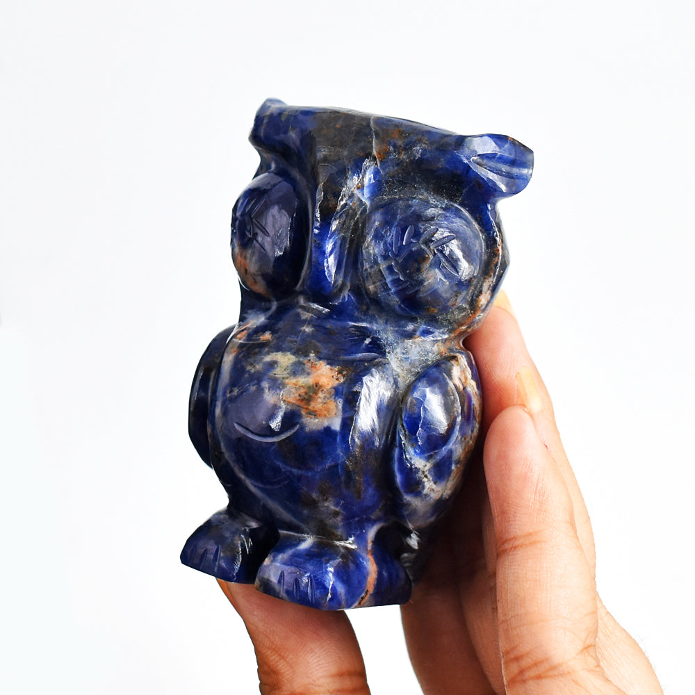 Amazing 768.00 Cts Genuine Blue Sodalite Hand Carved Crystal Gemstone Owl Carving