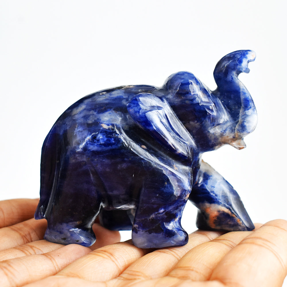 Beautiful  803.00 Cts  Blue Sodalite  Hand Carved Genuine Crystal Gemstone Carving Elephant