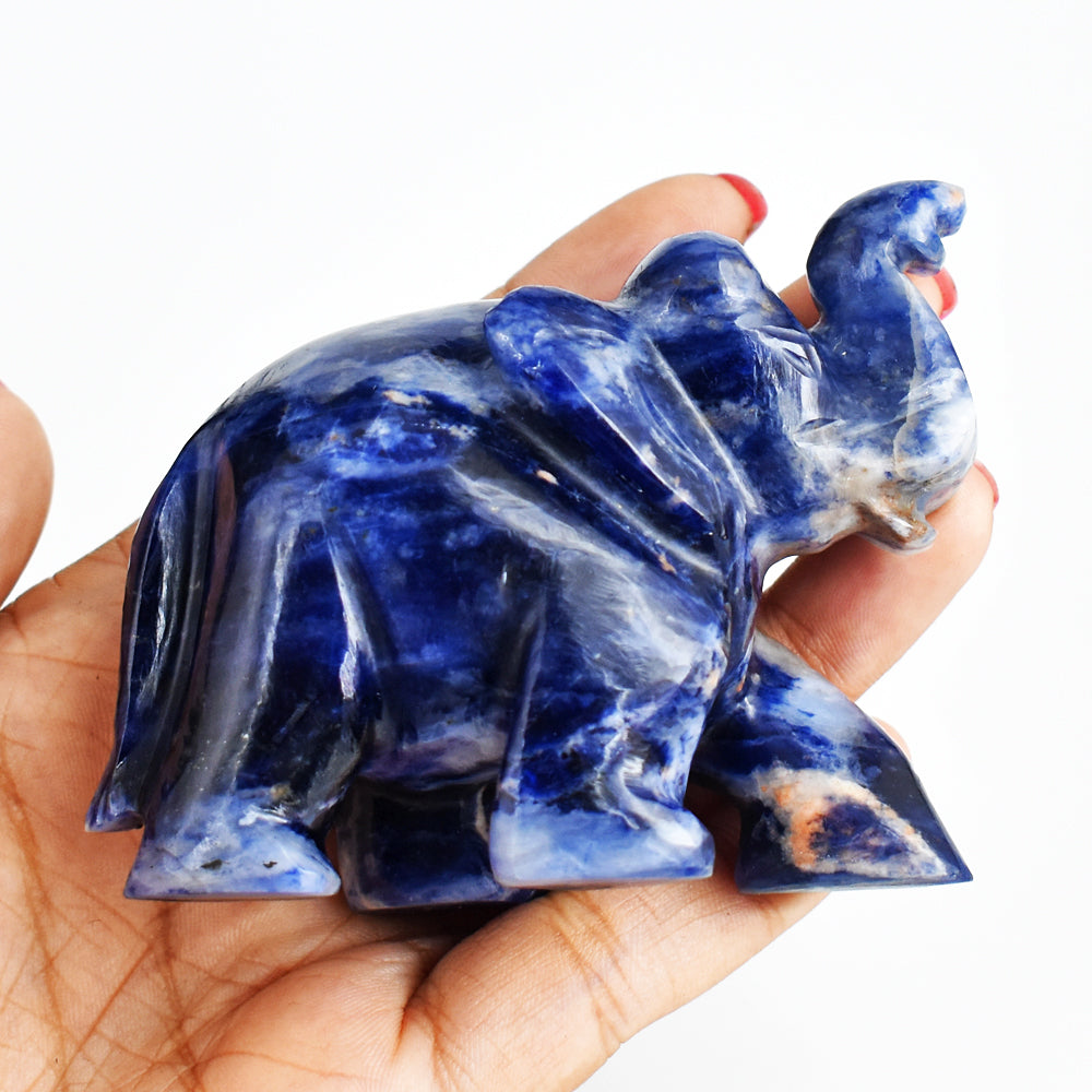 Beautiful  803.00 Cts  Blue Sodalite  Hand Carved Genuine Crystal Gemstone Carving Elephant