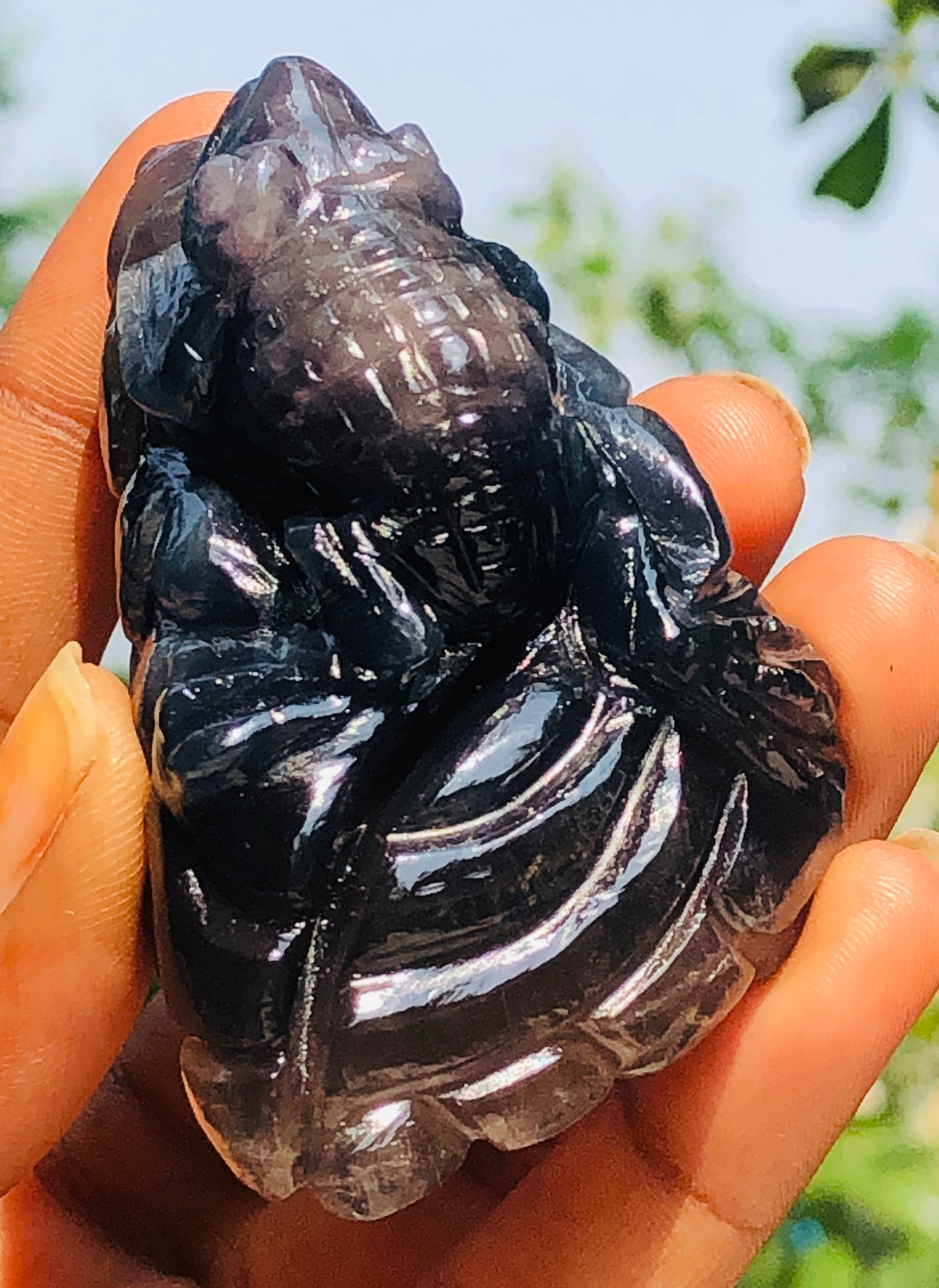 Artisian 643.00 Cts Genuine Multicolor Fluorite Carved Premium Chameleon Crystal