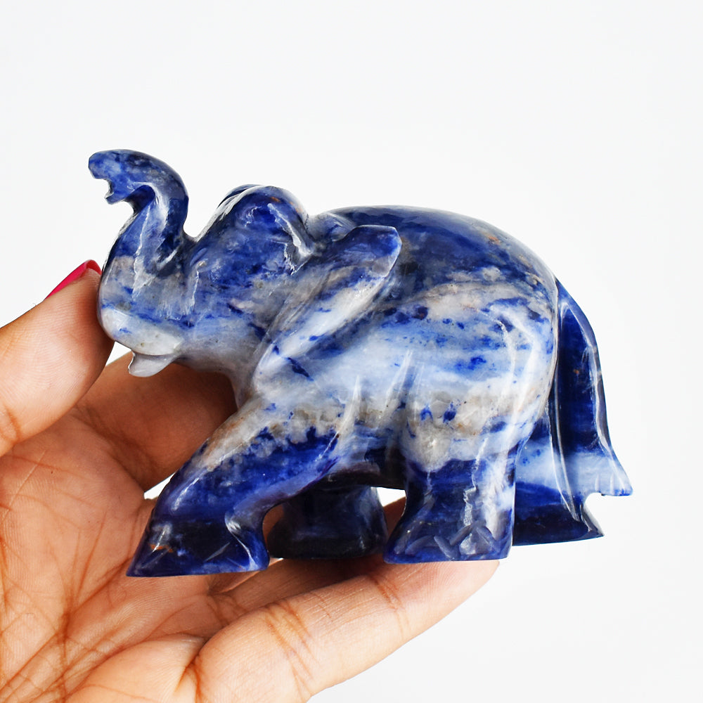 Beautiful  803.00 Cts  Blue Sodalite  Hand Carved Genuine Crystal Gemstone Carving Elephant