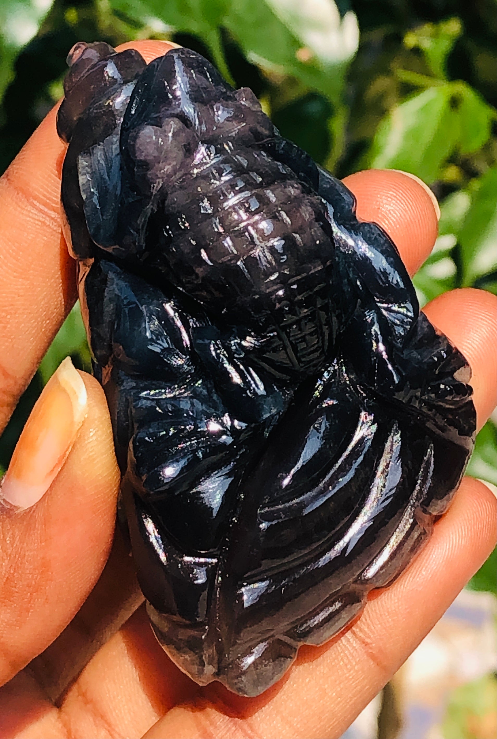 Artisian 643.00 Cts Genuine Multicolor Fluorite Carved Premium Chameleon Crystal