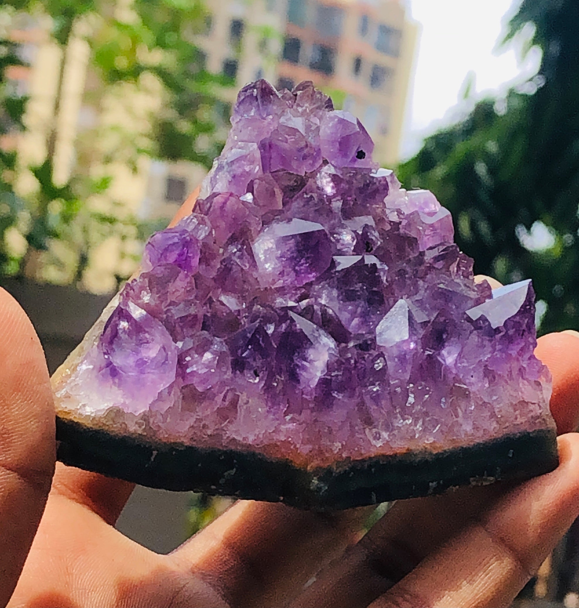 Ravishing 850.00 Cts Genuine Amethyst Crystal Specimen Healing Cluster Gemstone