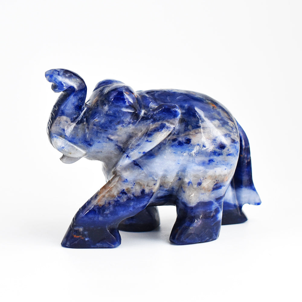 Beautiful  803.00 Cts  Blue Sodalite  Hand Carved Genuine Crystal Gemstone Carving Elephant