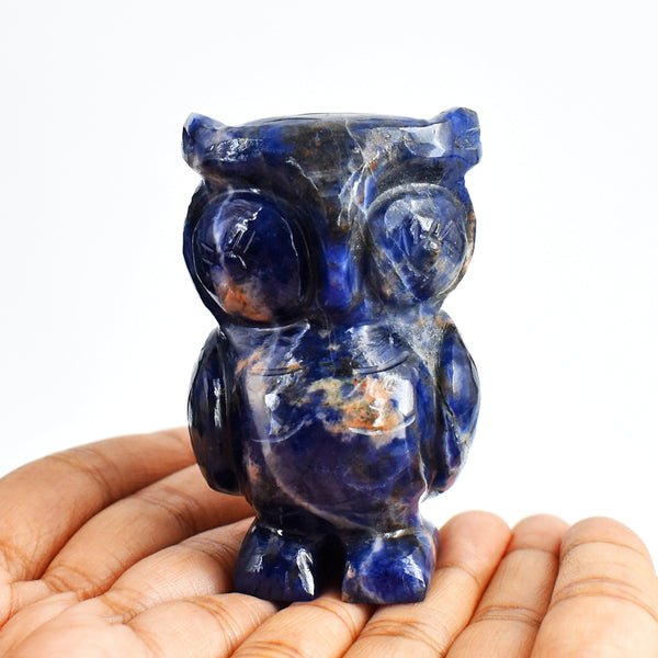 Amazing 768.00 Cts Genuine Blue Sodalite Hand Carved Crystal Gemstone Owl Carving