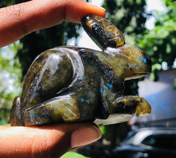 Superb 669.00 Cts Genuine Labradorite Hand Carved Gemstone Bunny 2026  Collection