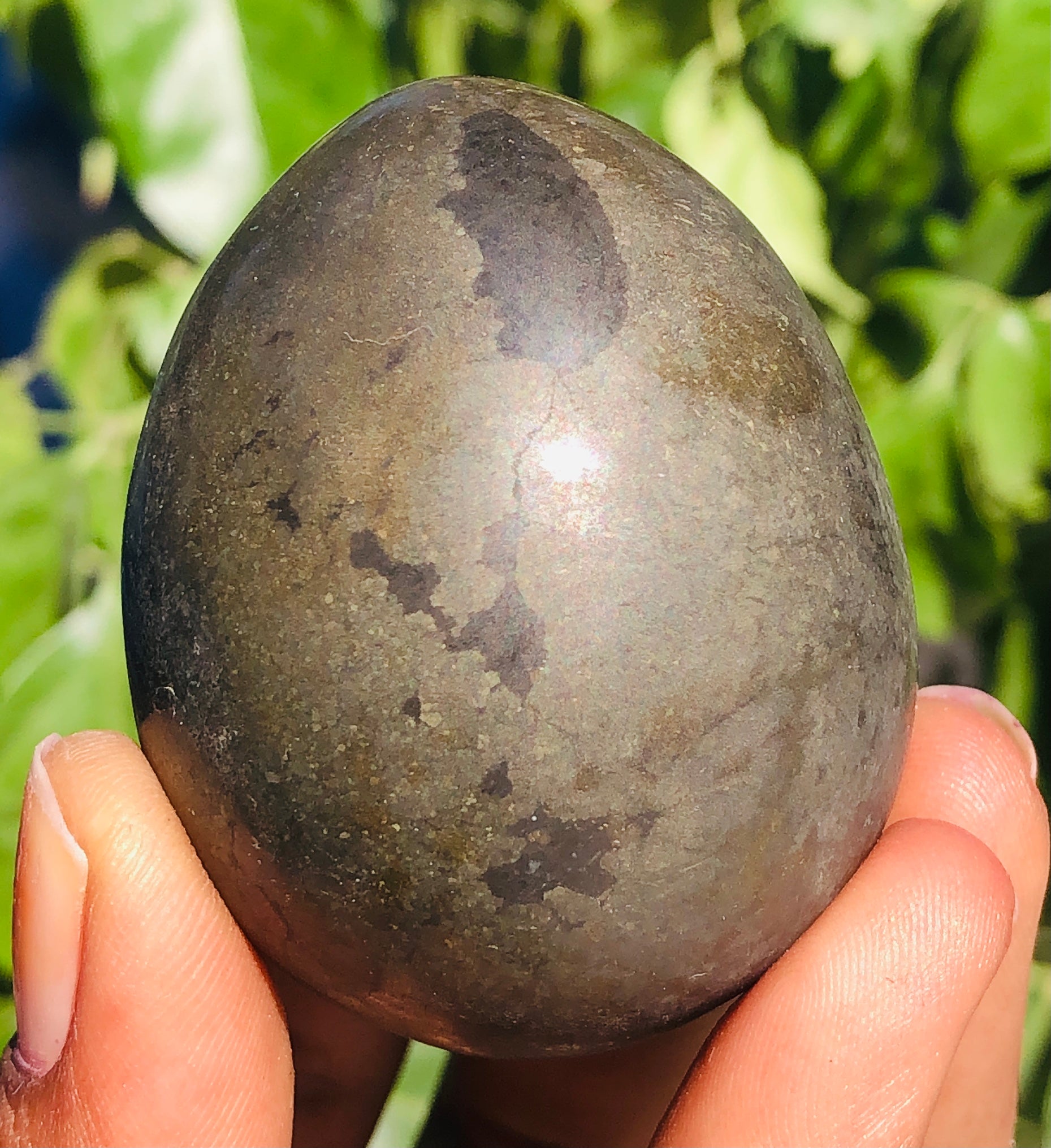 Stunning 859.00 Carats Golden Pyrite Hand Crystal Specimen Healing Egg