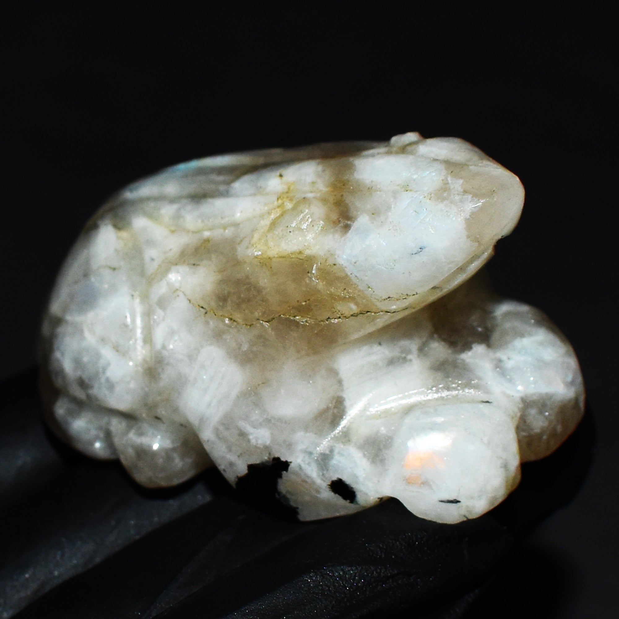 Craftsmen 429.00 Cts Genuine Blue Flash Moonstone Hand Carved Crystal Gemstone Frog Carving 2026  Collection