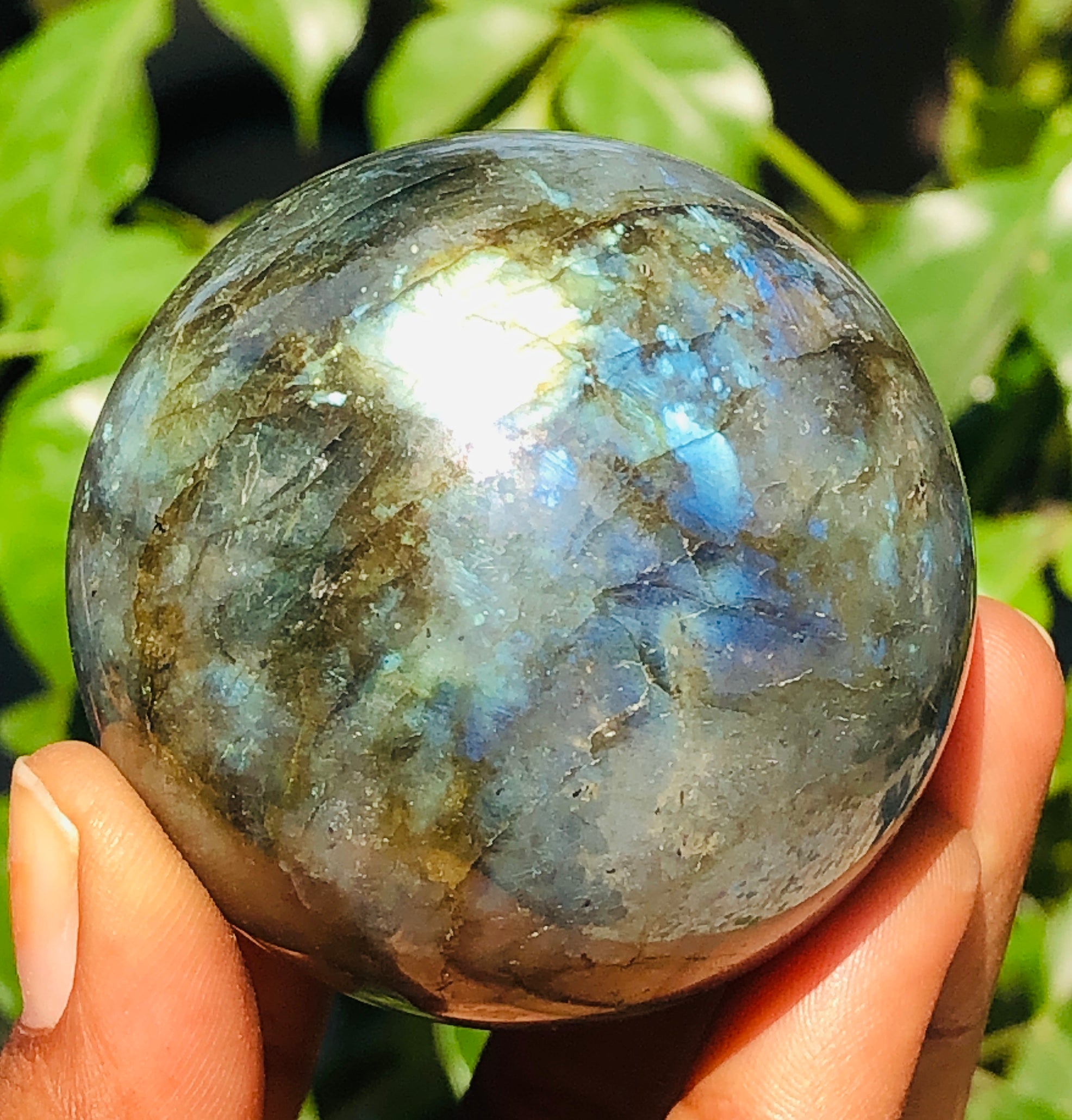Amazing 963.00 Cts Genuine Green & Blue Flash Labradorite Healing Ball Sphere Crystal Premium