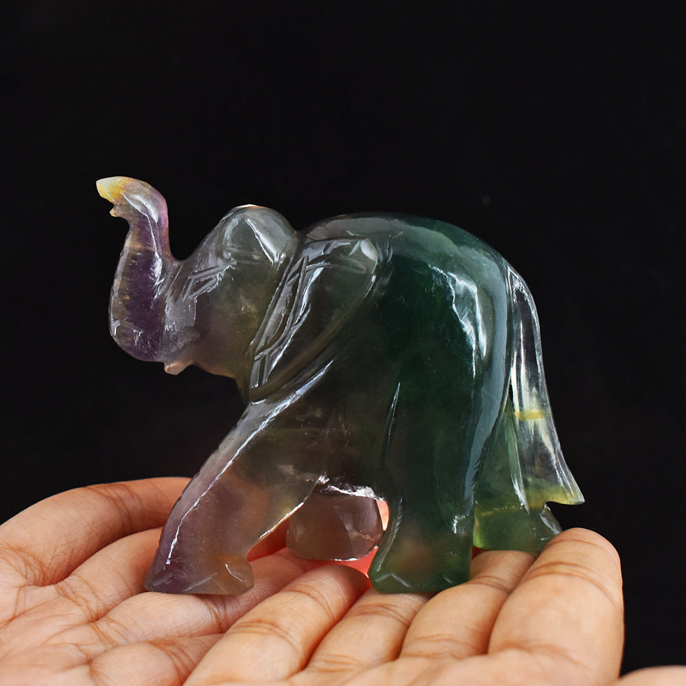 Amazing  1164.00 Cts Multicolor  Fluorite Hand Carved Genuine Crystal Gemstone Carving Elephant