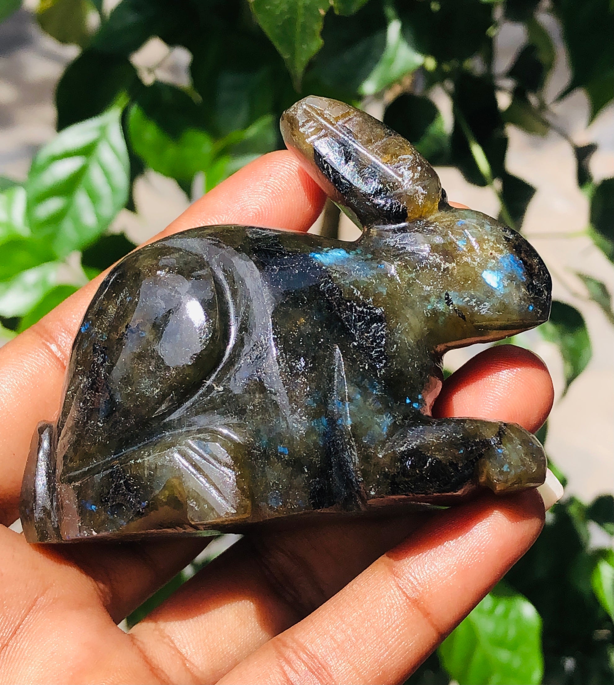 Superb 669.00 Cts Genuine Labradorite Hand Carved Gemstone Bunny 2026  Collection