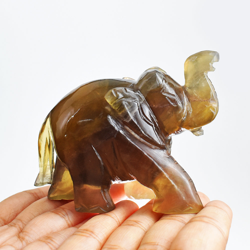 Beautiful 1240.00 Cts  Genuine  Multicolor Fluorite Hand Carved Crystal Gemstone Carving Elephant