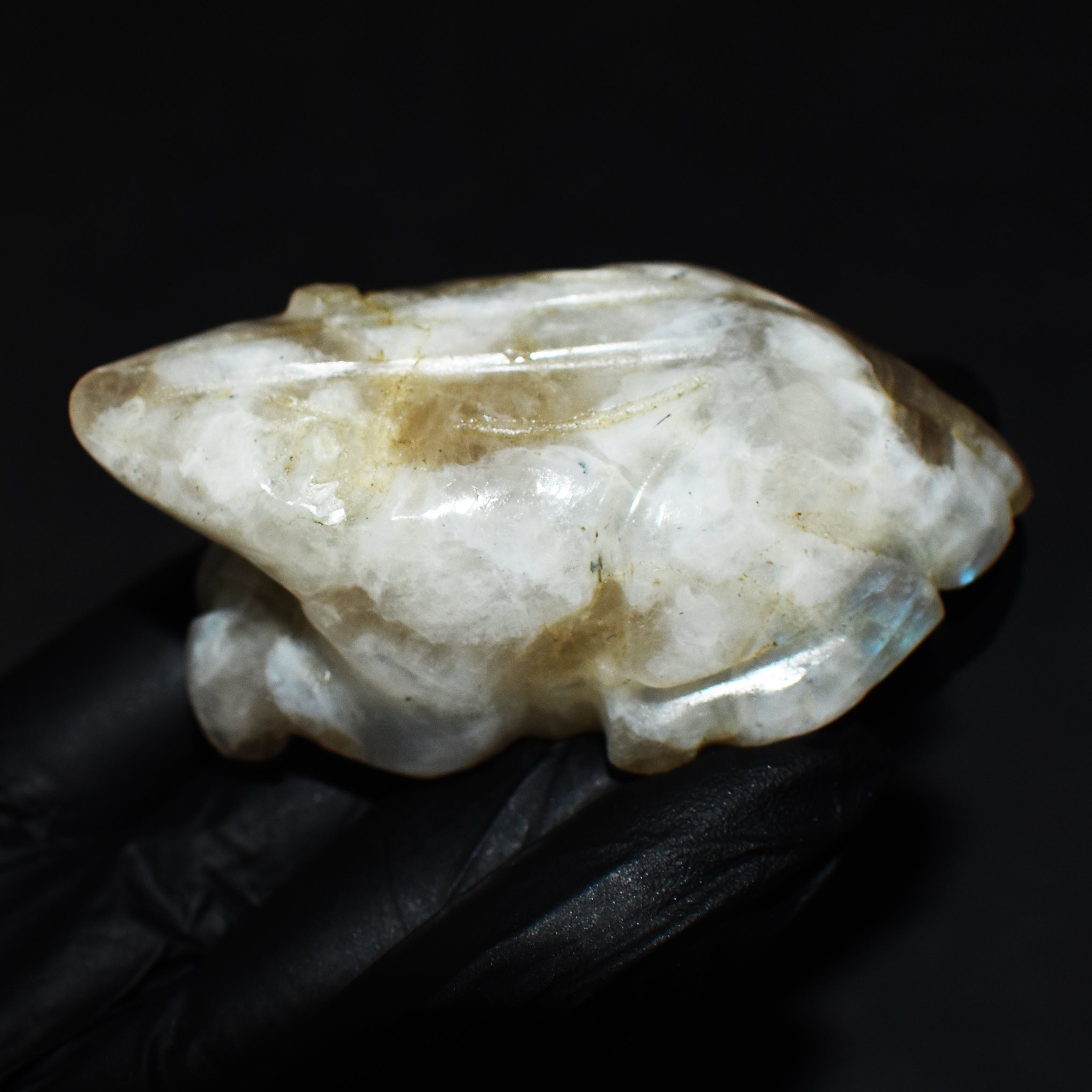 Craftsmen 429.00 Cts Genuine Blue Flash Moonstone Hand Carved Crystal Gemstone Frog Carving 2026  Collection
