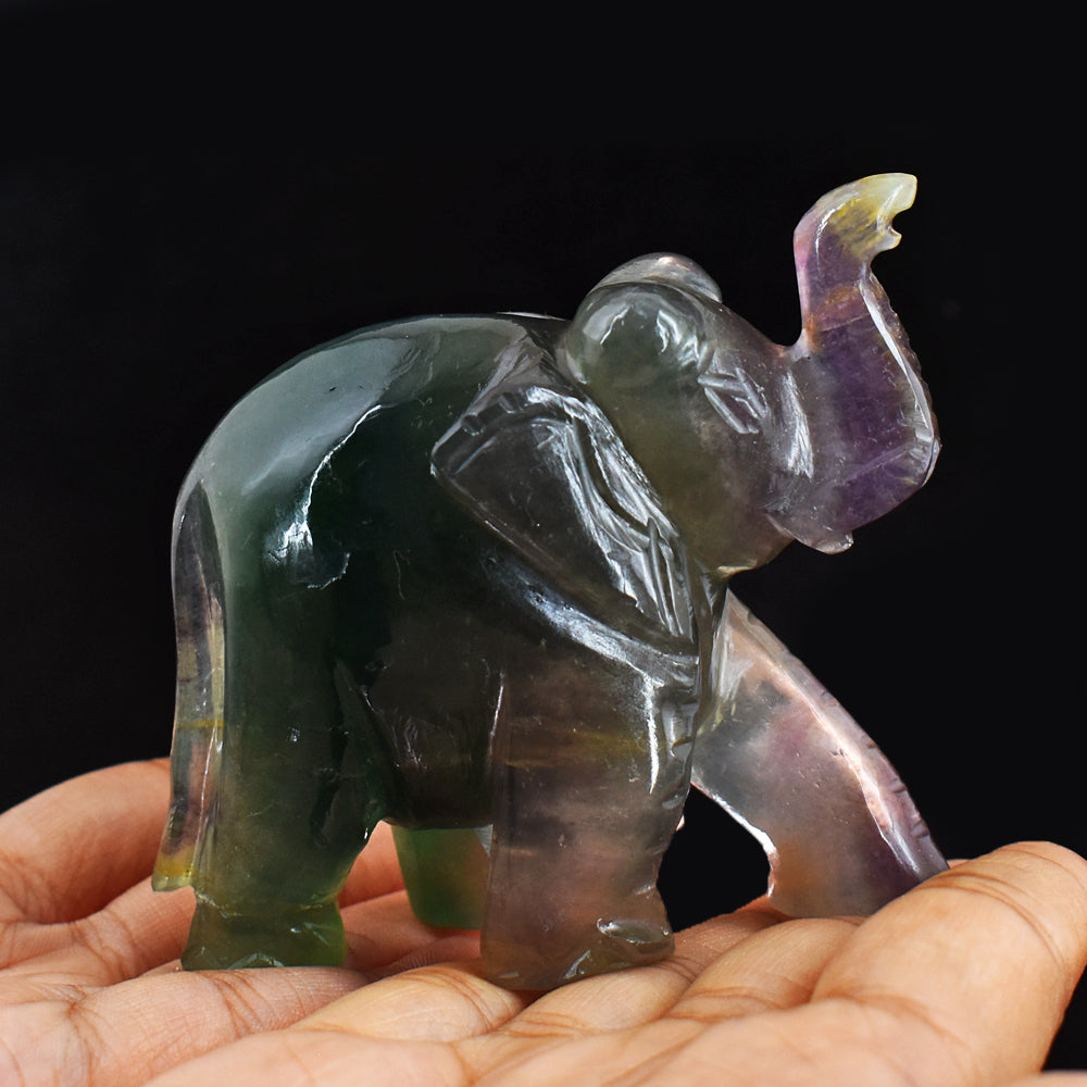 Amazing  1164.00 Cts Multicolor  Fluorite Hand Carved Genuine Crystal Gemstone Carving Elephant