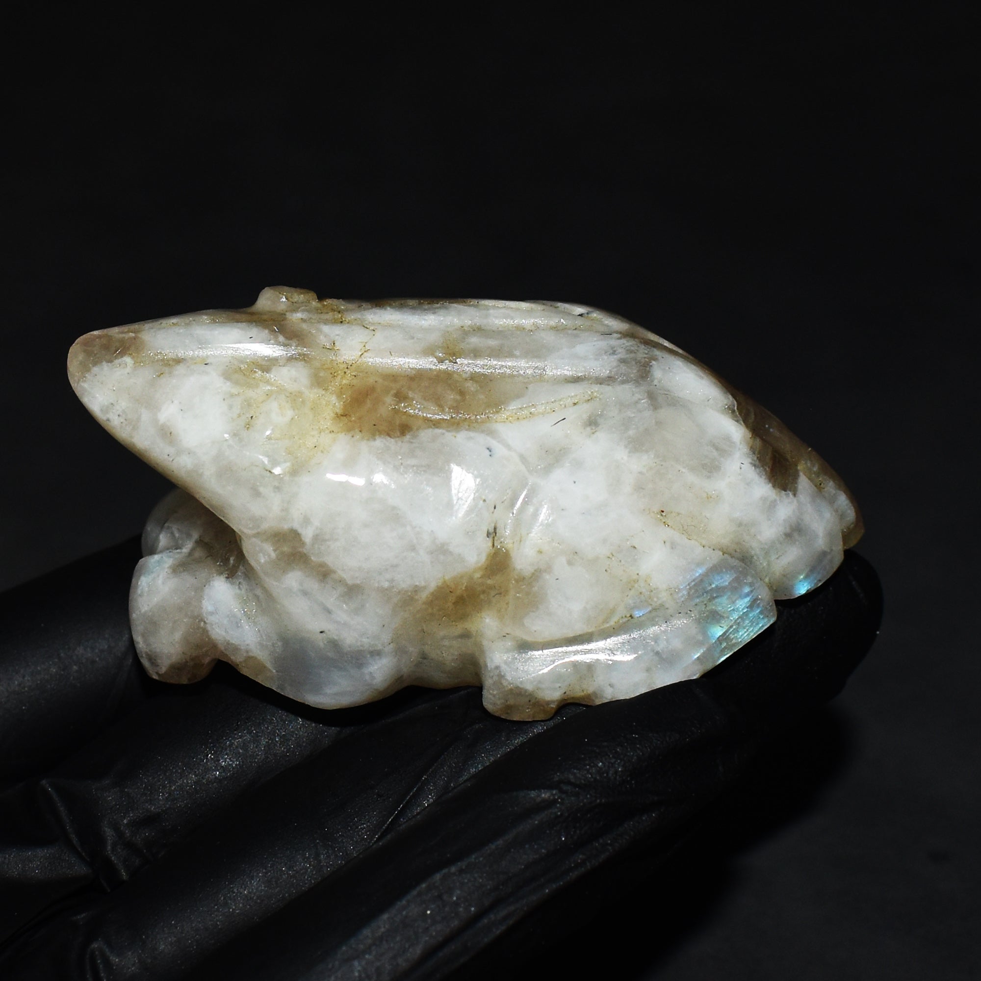 Craftsmen 429.00 Cts Genuine Blue Flash Moonstone Hand Carved Crystal Gemstone Frog Carving 2026  Collection