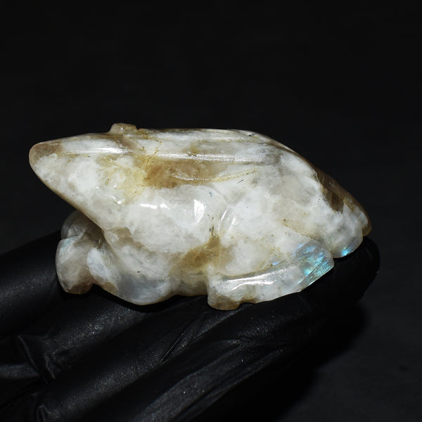 Craftsmen 429.00 Cts Genuine Blue Flash Moonstone Hand Carved Crystal Gemstone Frog Carving 2026  Collection