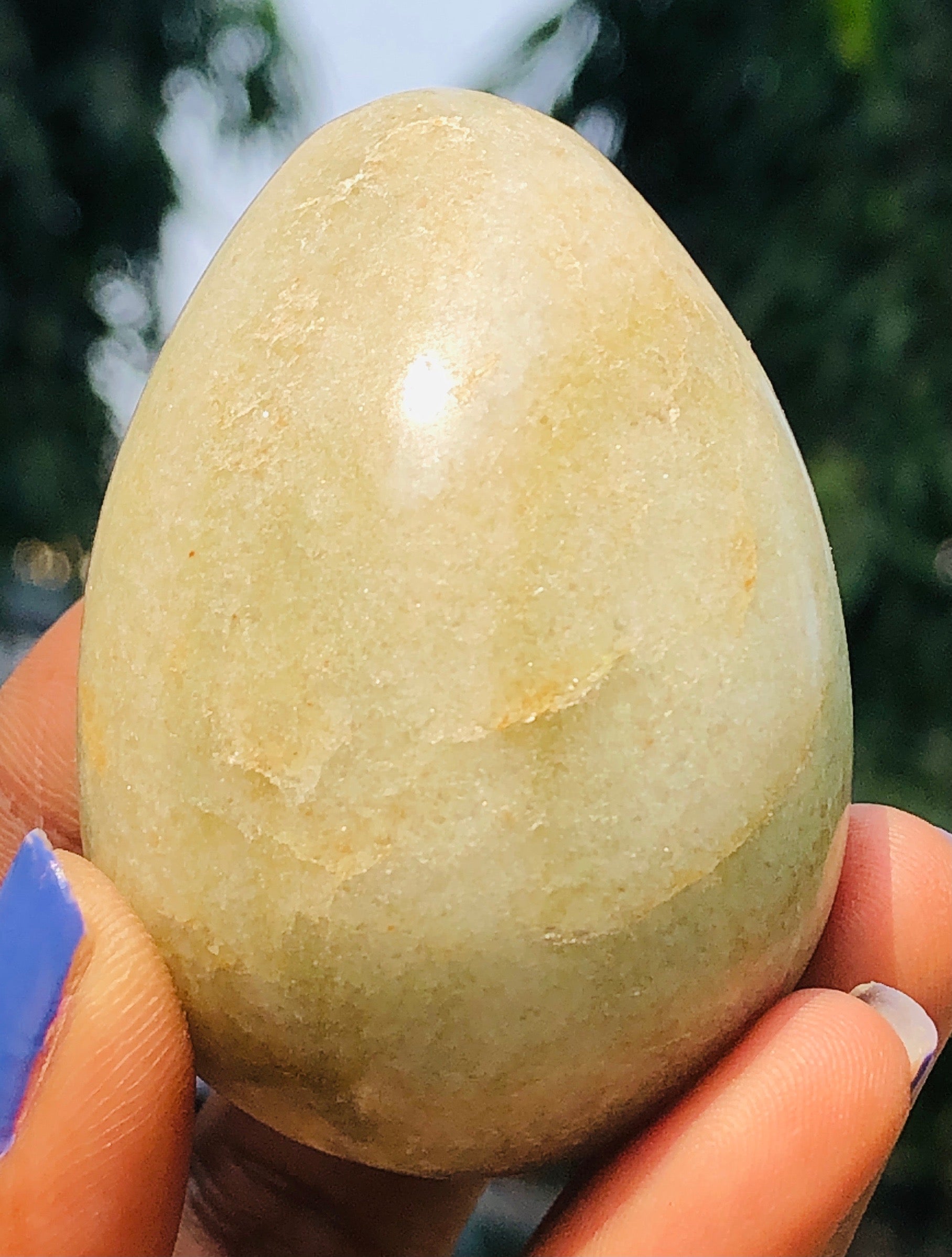Genuine 555.00 Cts Exclusive Aventurine Crystal Healing Premium Egg