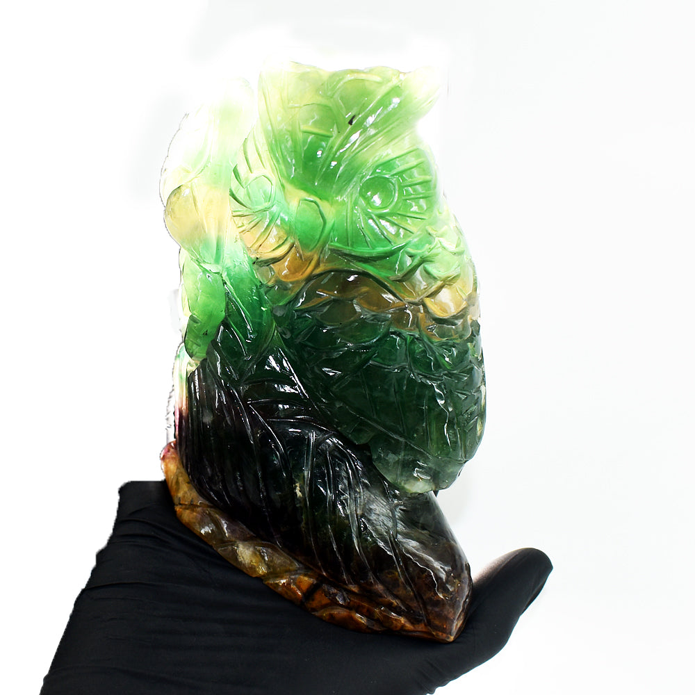 Beautiful 4654.00 Cts Genuine Multicolor Fluorite Hand Carved Owl Crystal Gemstone Carving