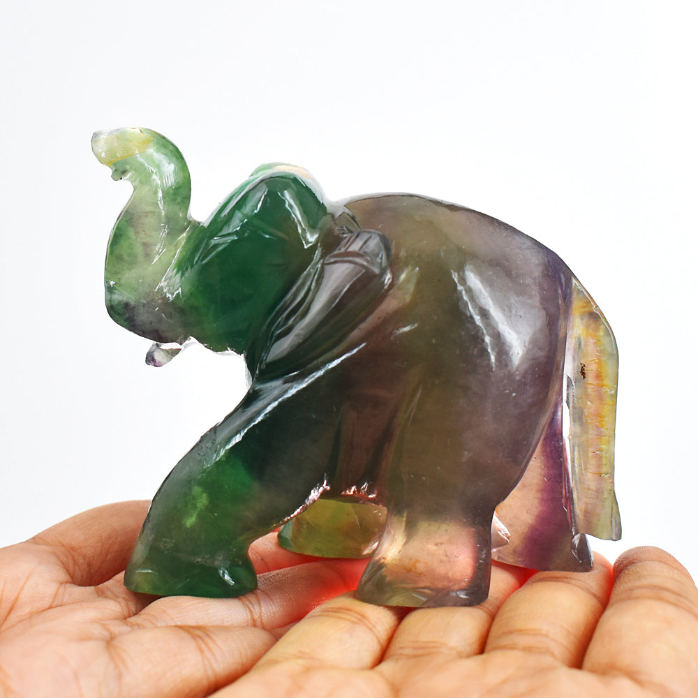 Genuine 1744.00 Cts Multicolor  Fluorite Hand Carved Crystal Gemstone Carving Elephant