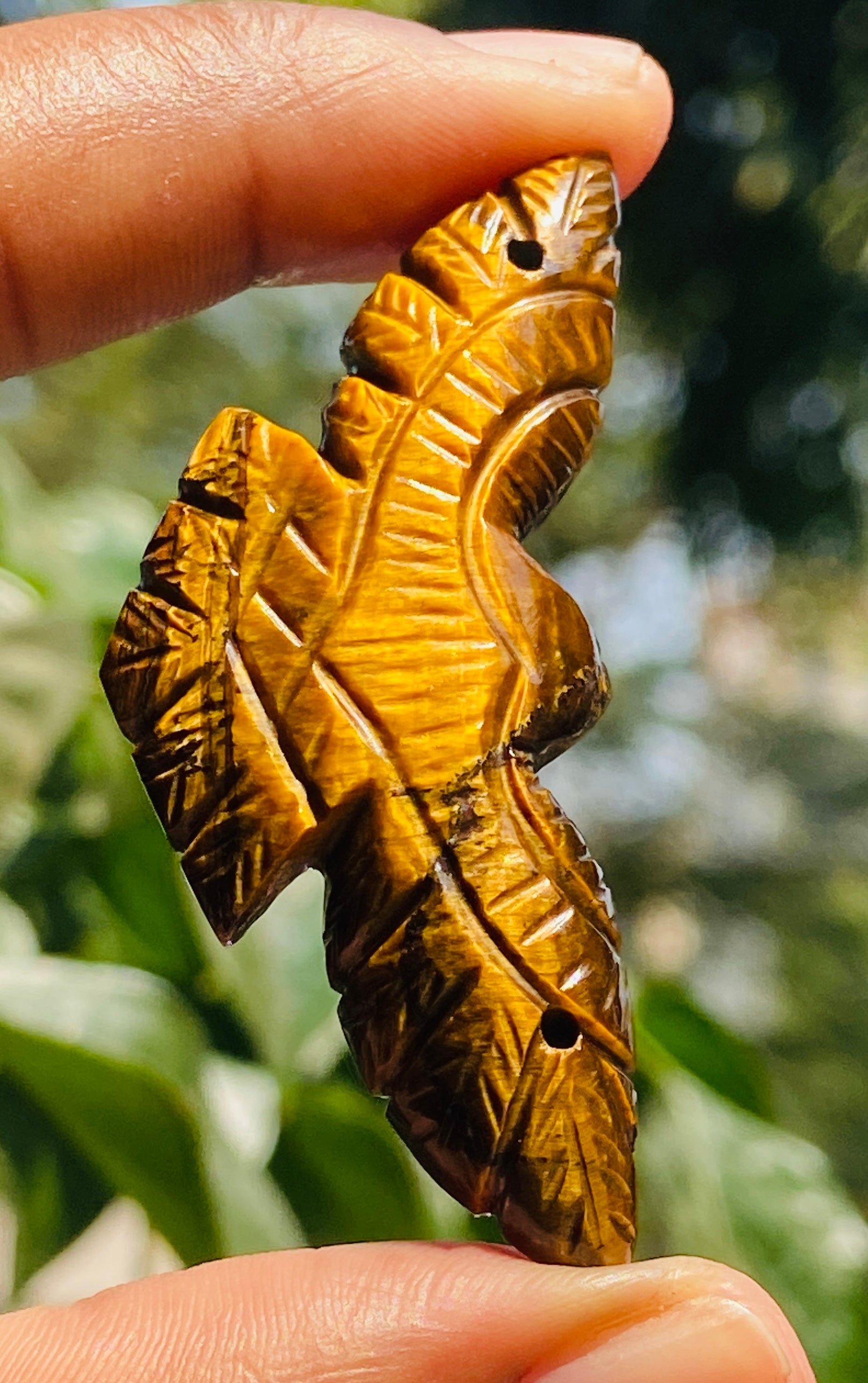 Best Ever 50.00 Cts Genuine Golden Tiger Eye Hand Carved Premium Eagle Crystal