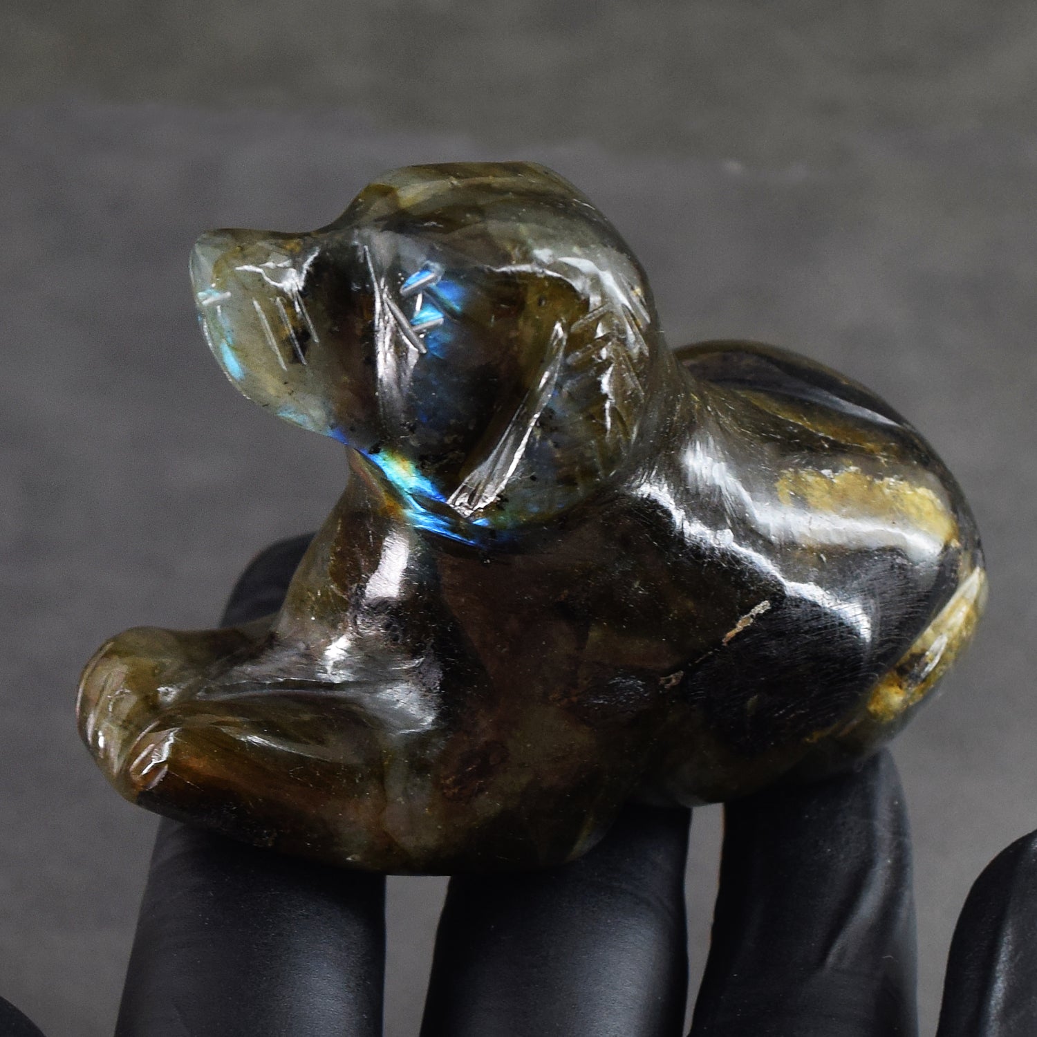 Impressive 828.00 Cts Genuine Blue Flash Labradorite Hand Carved Premium Dog