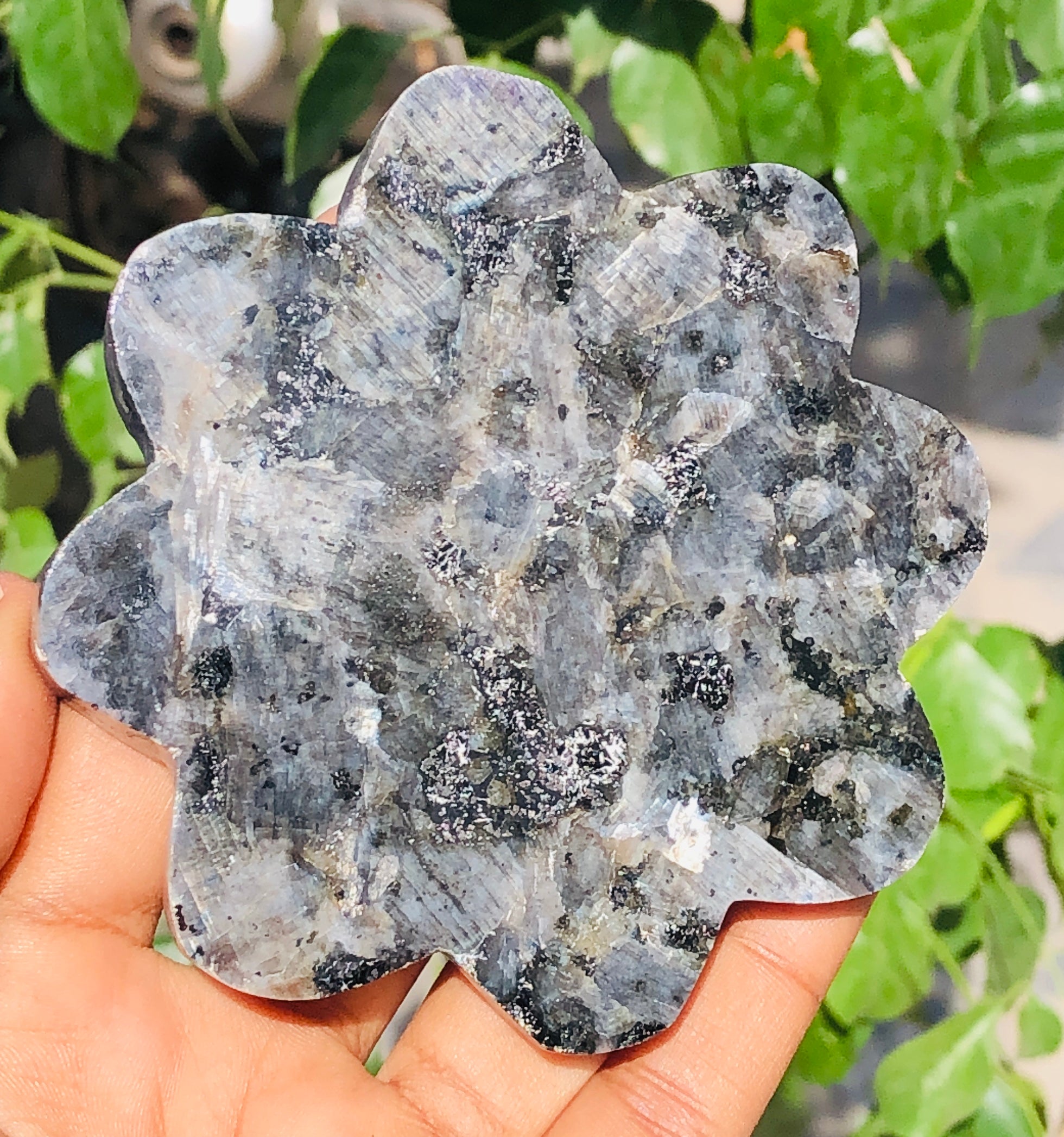 Artisian 678.00 Cts Genuine Larvikite Healing Crystal Specimen Premium Coaster