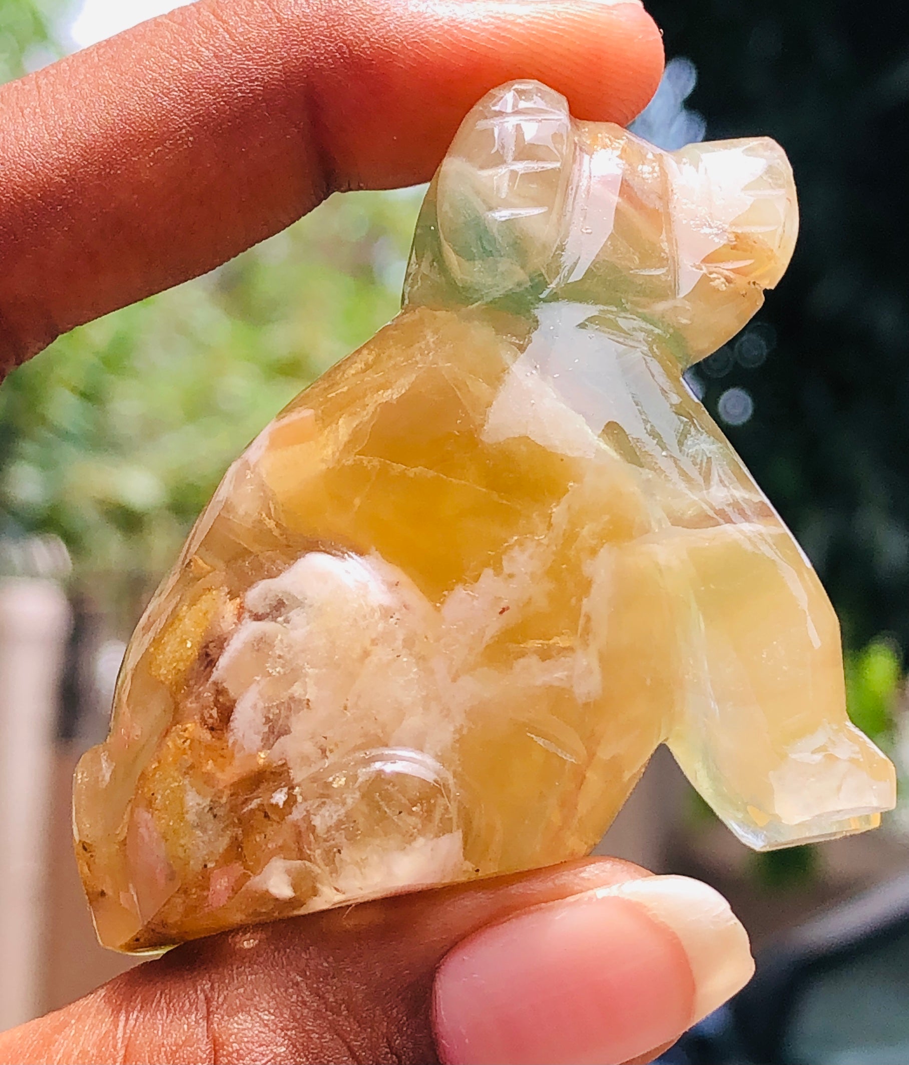 Morbid 395.00 Carats Genuine Multicolor Fluorite Carved Premium Dog Crystal 2026  Collection