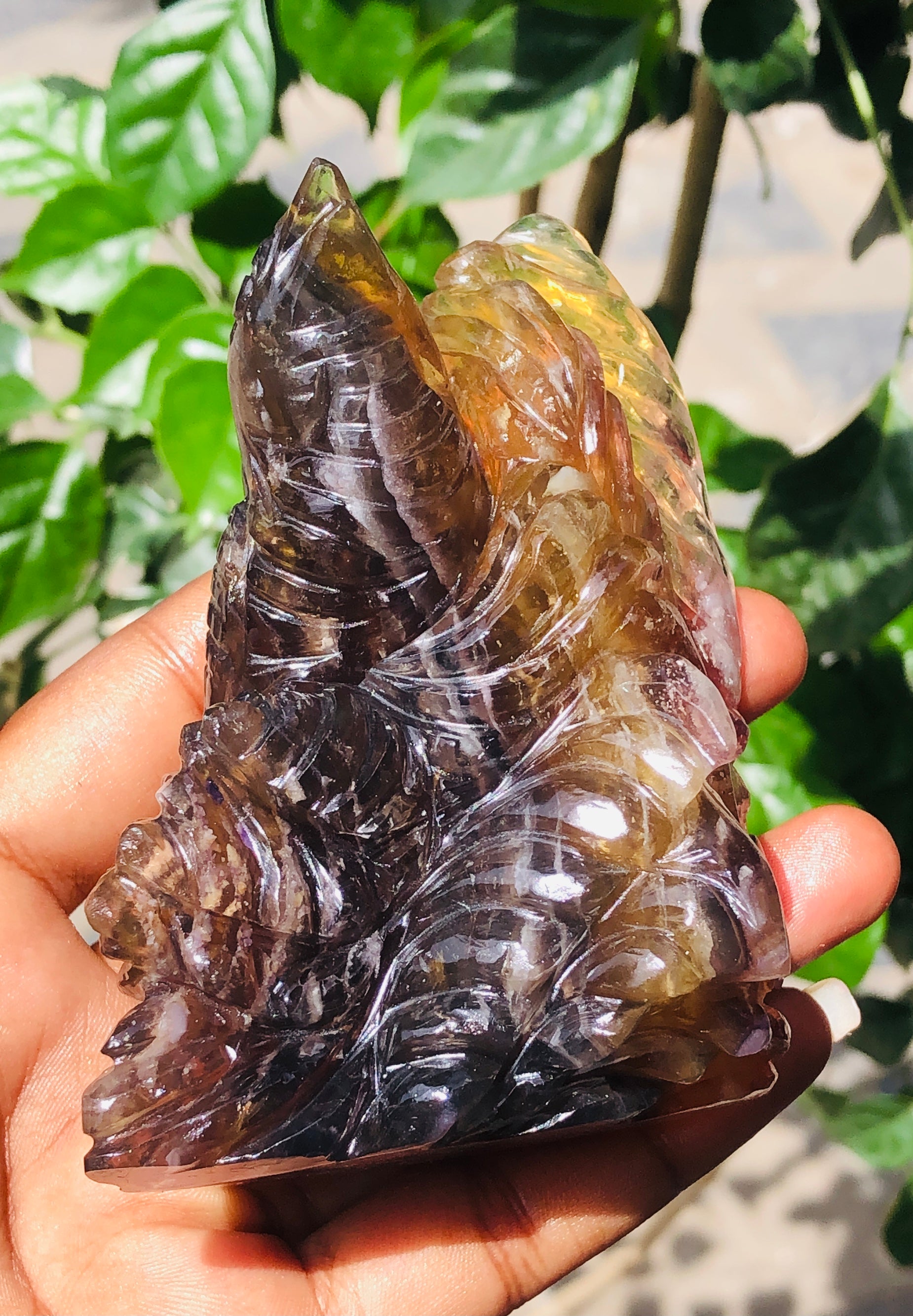 Exclusive 1566.00 Carats Multicolor Fluorite Carved Bird 2026 Collection