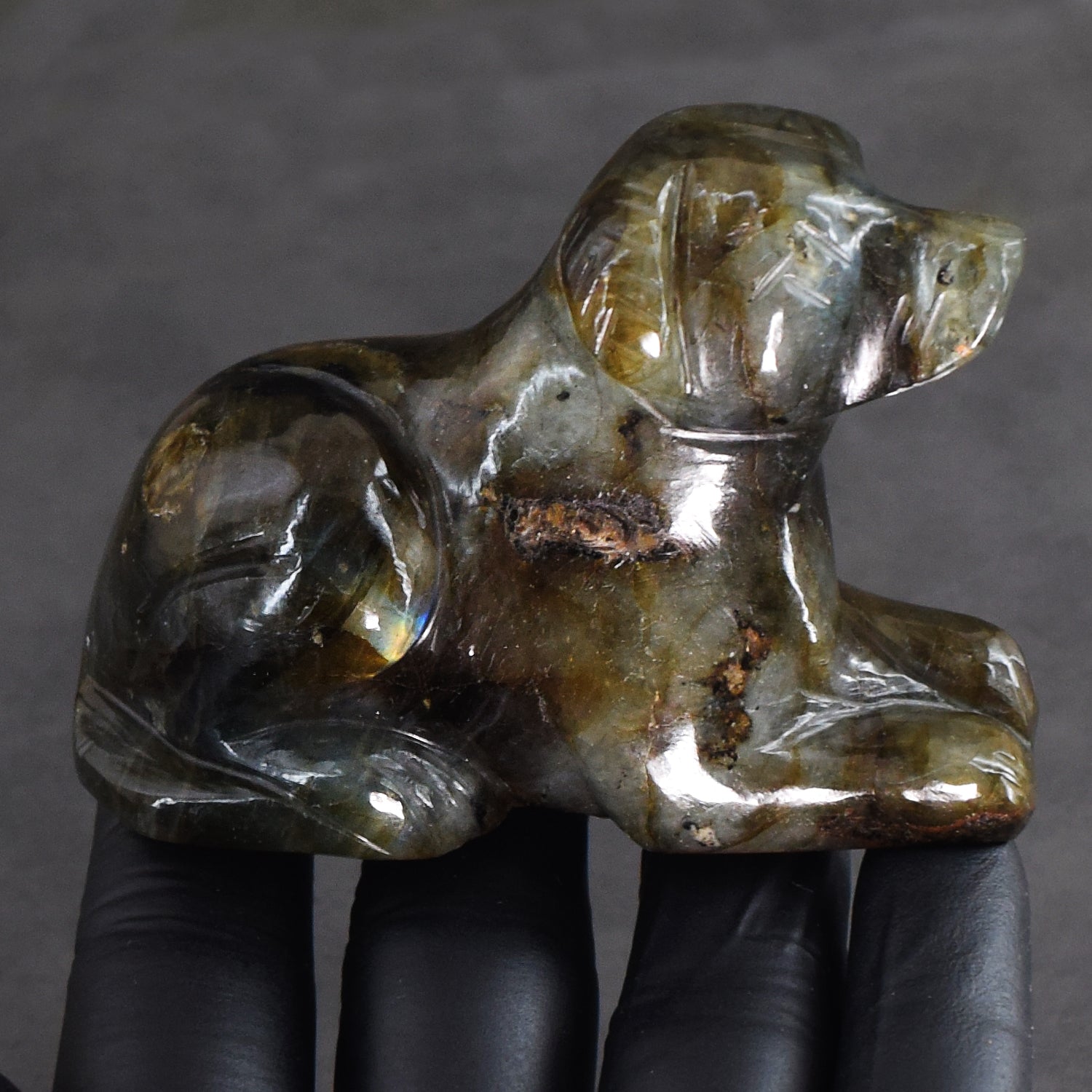 Impressive 828.00 Cts Genuine Blue Flash Labradorite Hand Carved Premium Dog