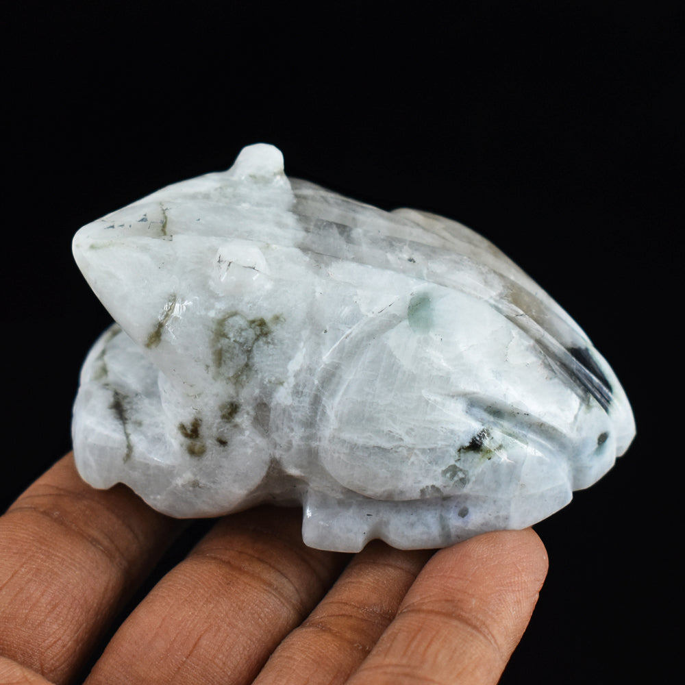 Artisian  Blue Flash  Moonstone  572.00 Cts  Hand Carved Genuine Crystal Gemstone Frog Carving