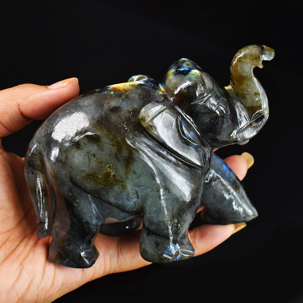 Genuine 2320.00 Cts Golden & Blue Flash Labradorite Hand Carved Gemstone Carving Elephant