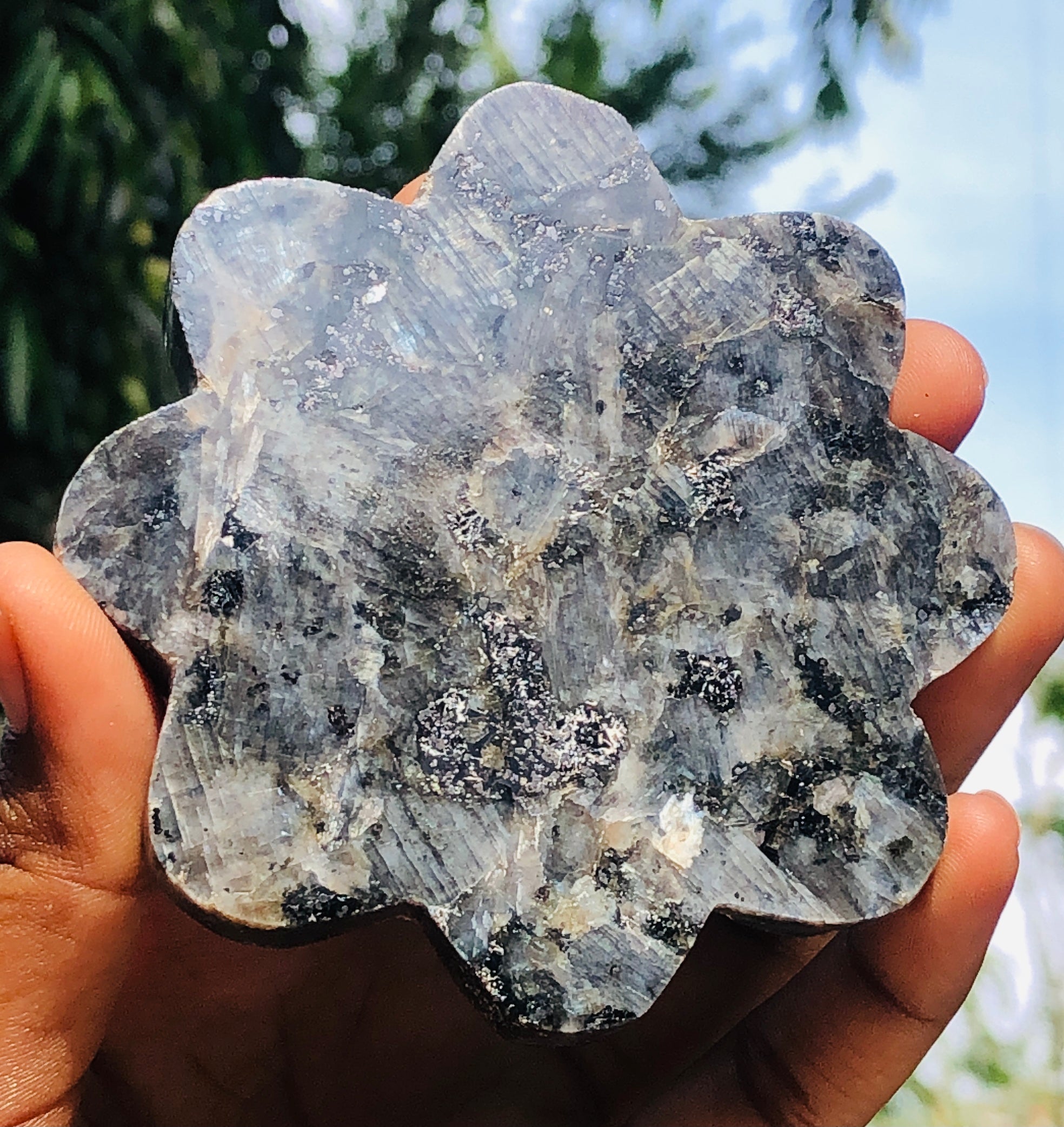 Artisian 678.00 Cts Genuine Larvikite Healing Crystal Specimen Premium Coaster