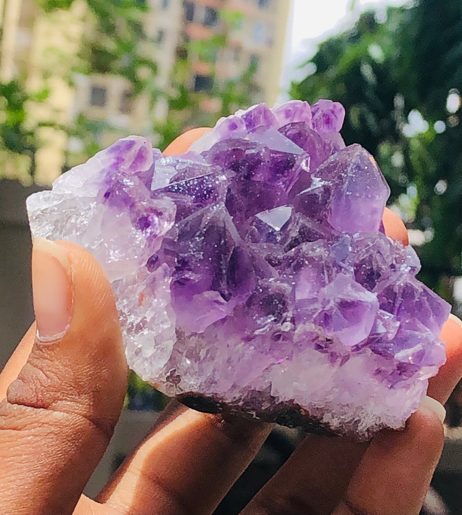Alluring 882.00 Cts Genuine Amethyst Crystal Specimen Healing Cluster Gemstone