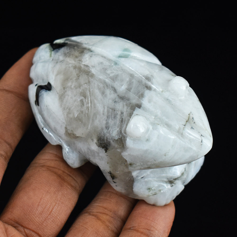 Artisian  Blue Flash  Moonstone  572.00 Cts  Hand Carved Genuine Crystal Gemstone Frog Carving