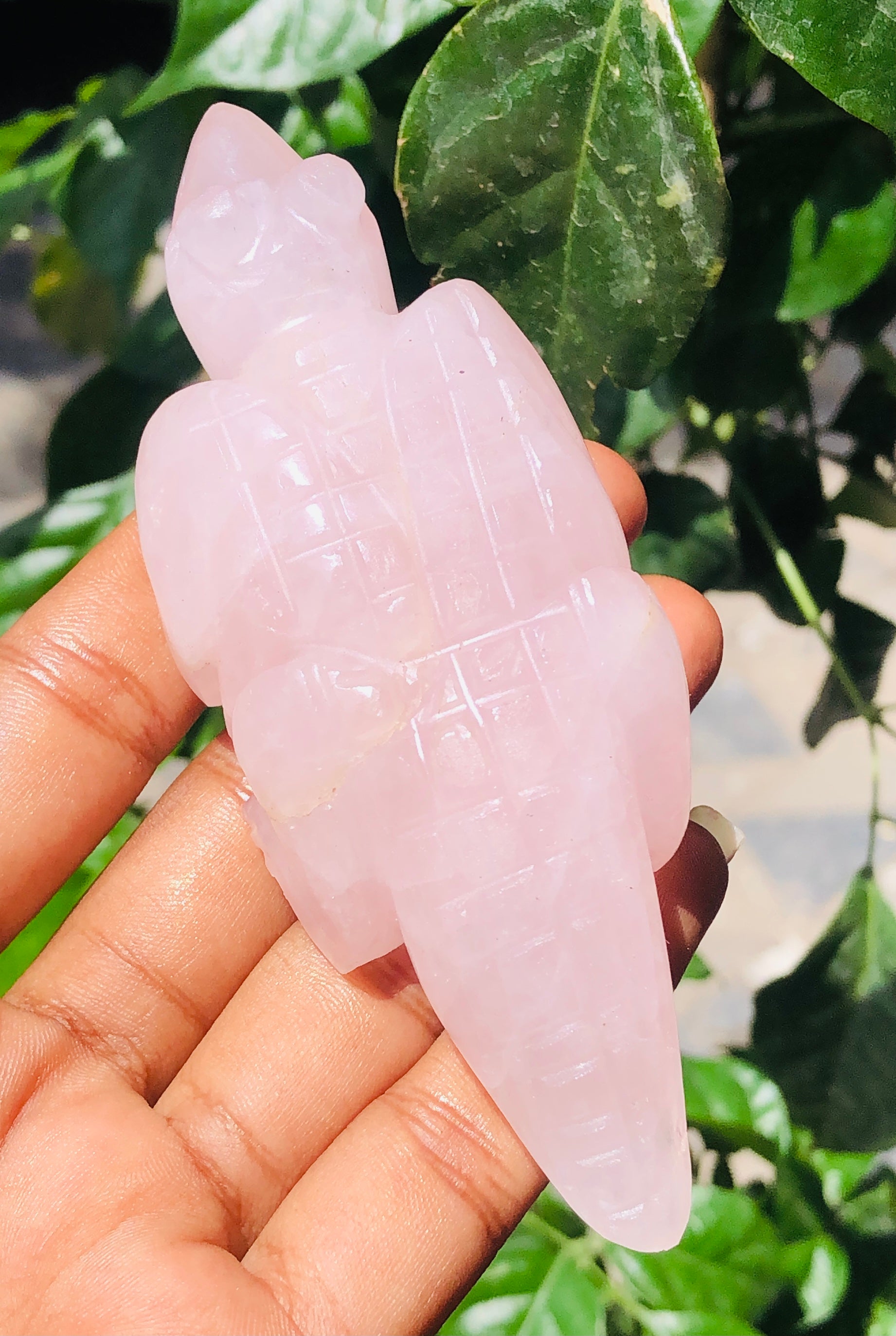 Genuine 664.00 Cts Amazing Rose Quartz Hand Carved Lizard 2026  Collection